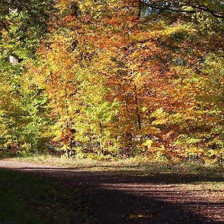 شقة Fewo-seestrasse