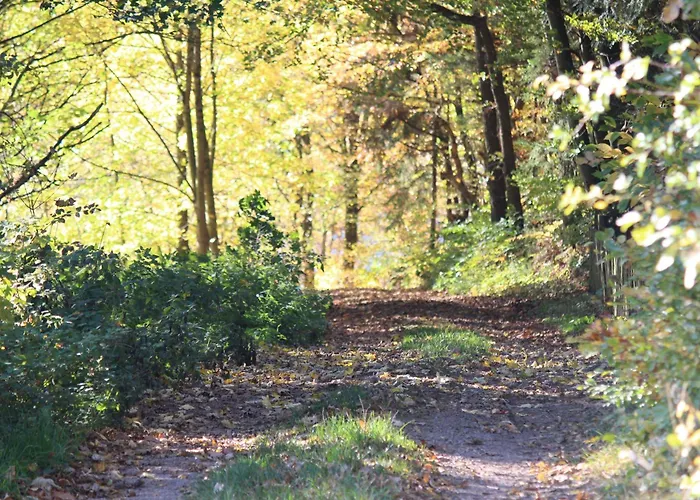 Apartmán Fewo-seestrasse Diemelsee